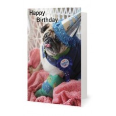 Card - Birthday Bob